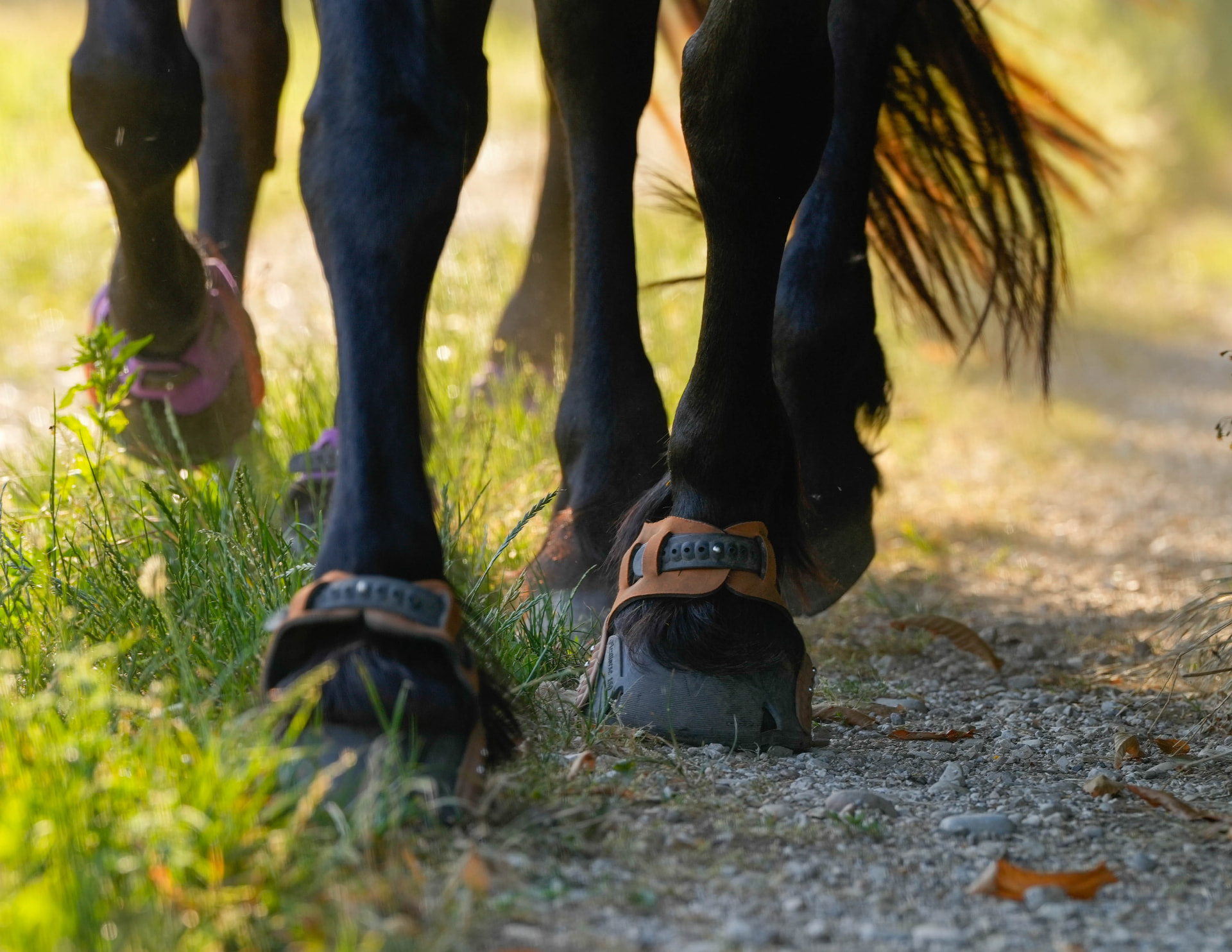 Le confort du pied nu, protégé
