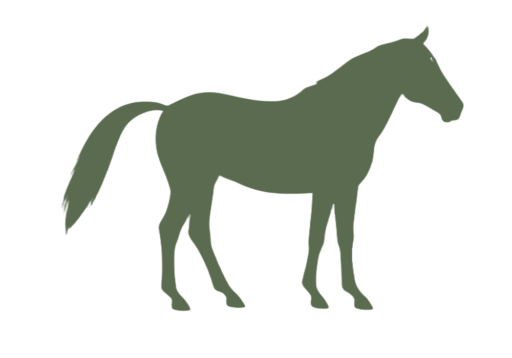 Silhouette d'un cheval de profil